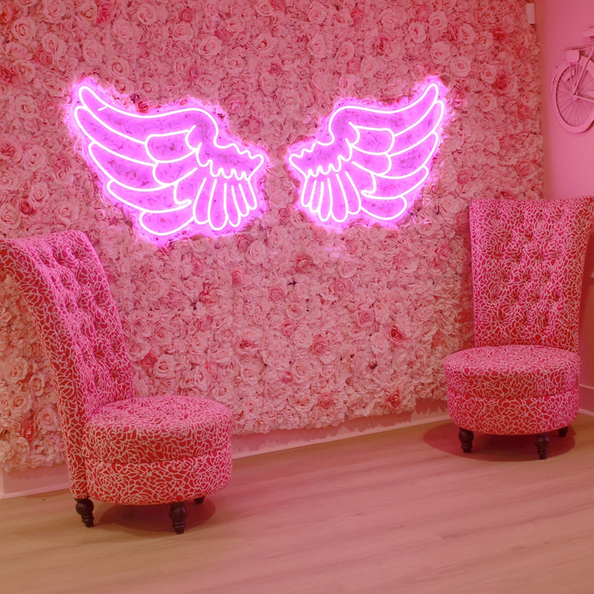 The Pink Vision
