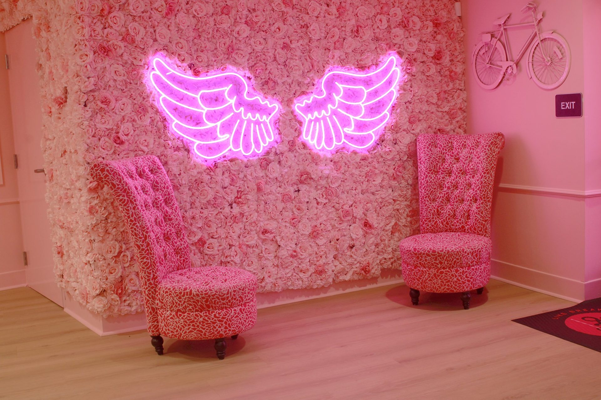 The Pink Vision